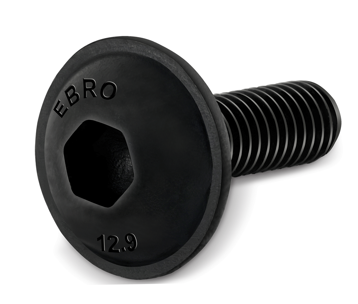 Socket Head Cap Screws